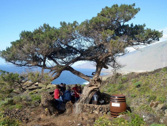 El ayuntamiento agradece la implicación de los bodegueros en el proyecto “Vinos de El Golfo, tradicionalmente únicos”