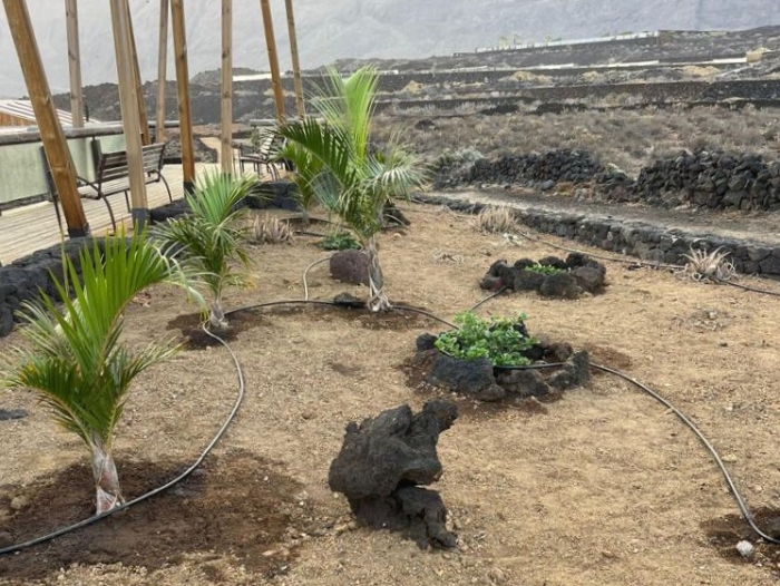 El Ayuntamiento de La Frontera acondiciona los jardines de La Maceta