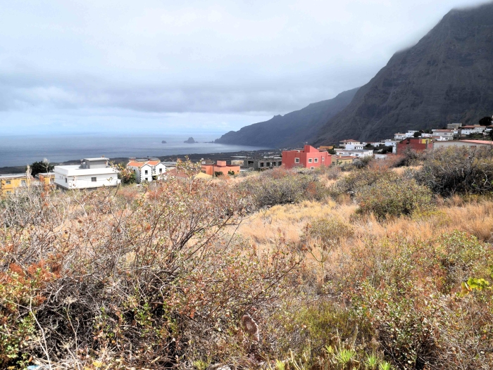 La Frontera pide al Gobierno que acabe con la “vergüenza” de no haber construido vivienda pública en el municipio desde hace 20 años