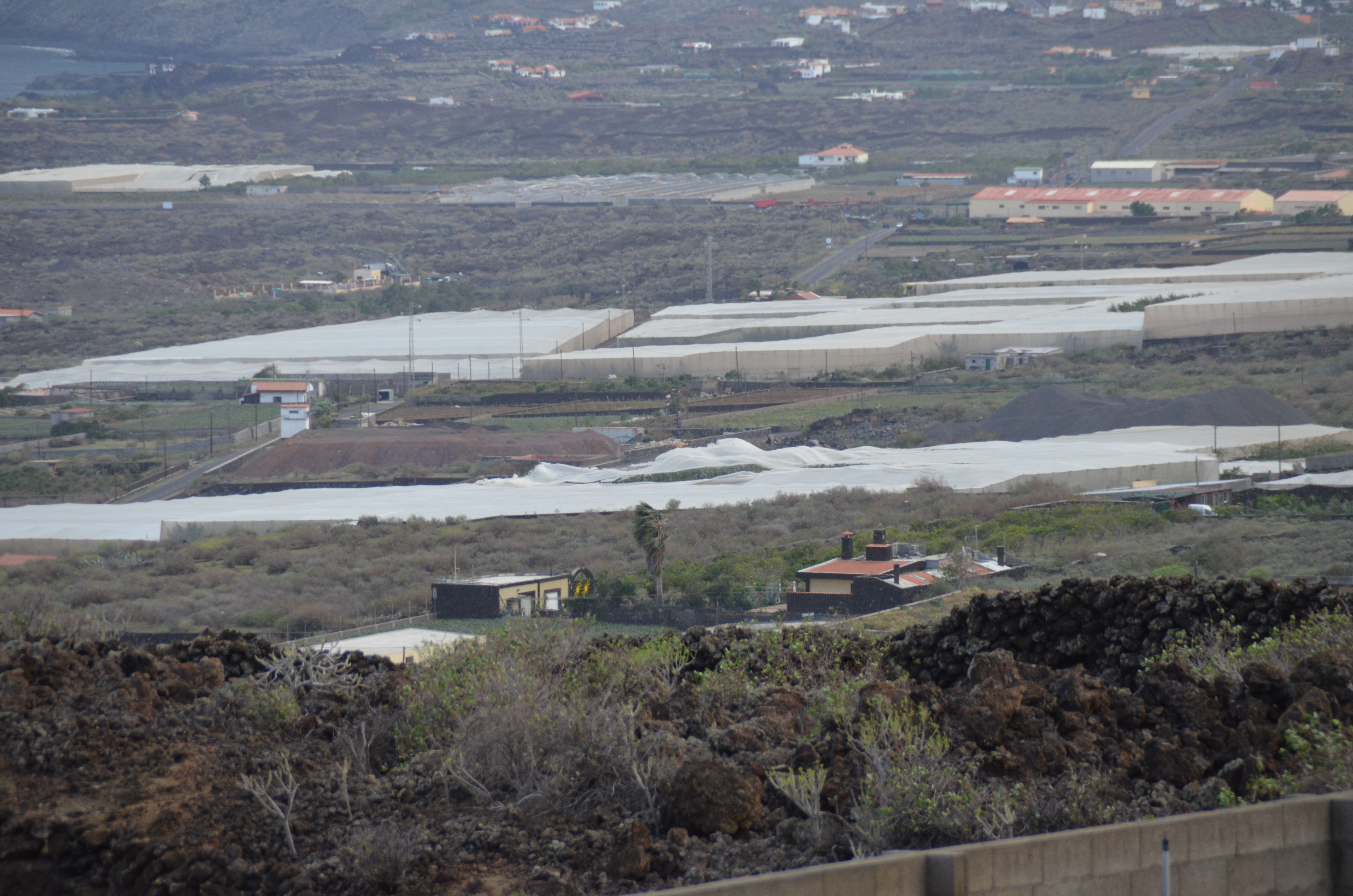 La Frontera decreta debido a la previsión de vientos la suspensión de actividades en instalaciones municipales al aire libre