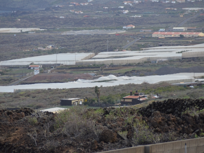 La Frontera decreta debido a la previsión de vientos la suspensión de actividades en instalaciones municipales al aire libre