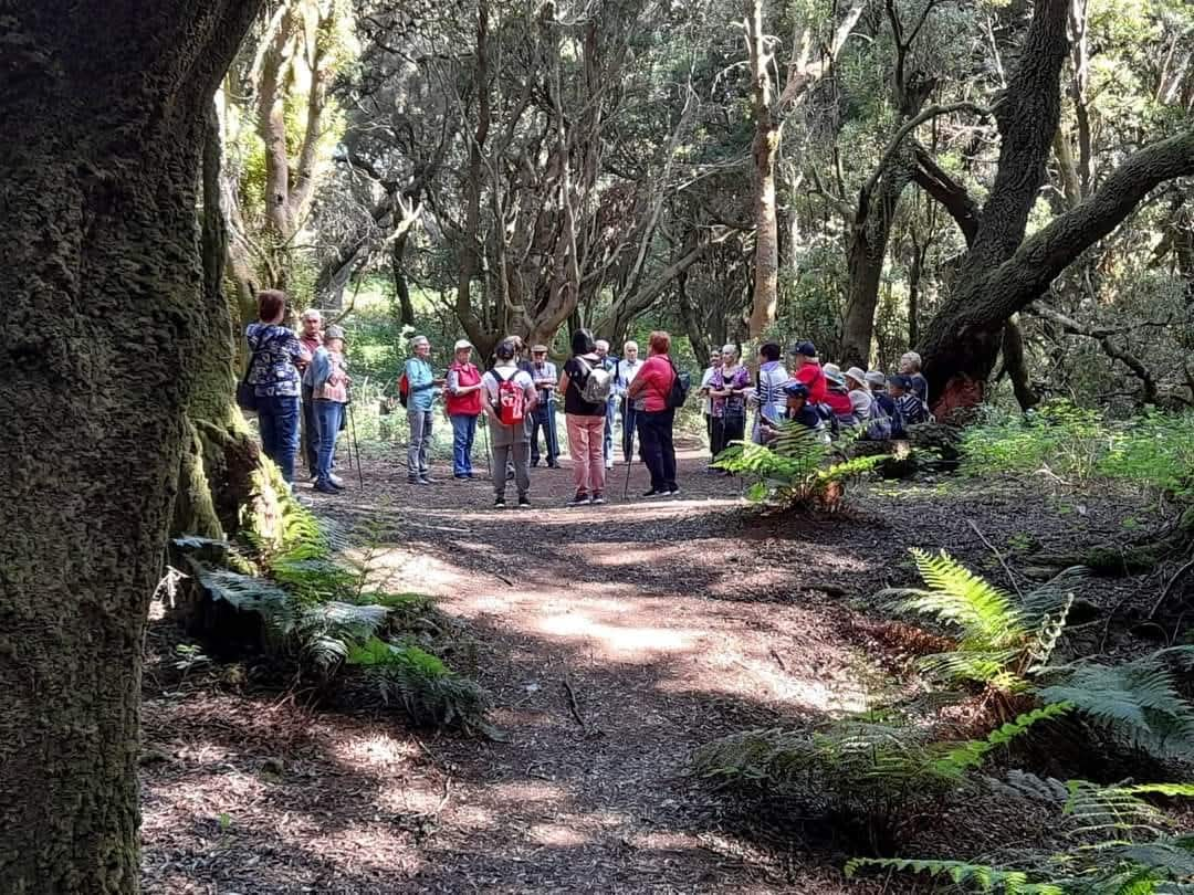 La Frontera pone en marcha el proyecto “Abordaje de la soledad no deseada”